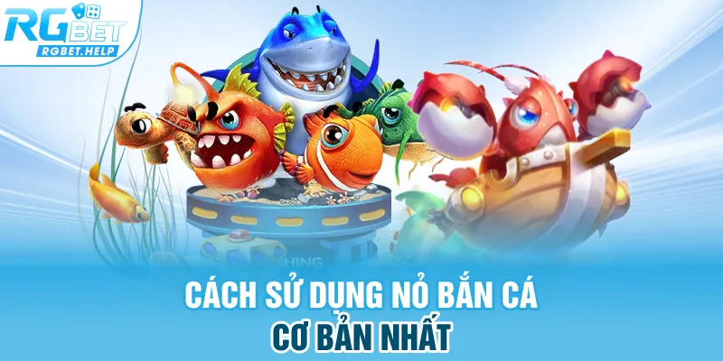 Cách sử dụng nỏ bắn cá cơ bản nhất