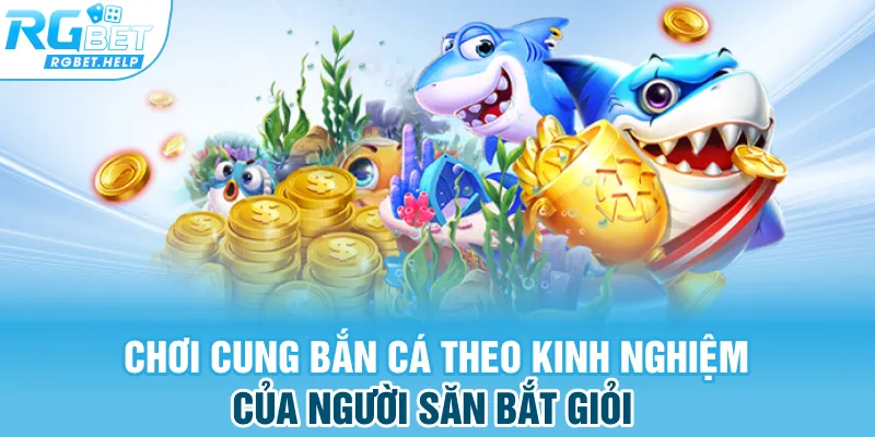 Chơi cung bắn cá theo kinh nghiệm của người săn bắt giỏi