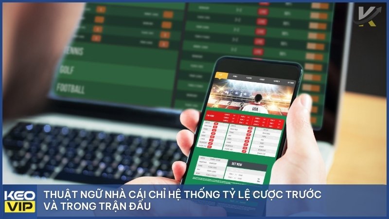 Bóng đá nhà cái là thuật ngữ chỉ hệ thống tỷ lệ cược nhà cái trước và trong trận